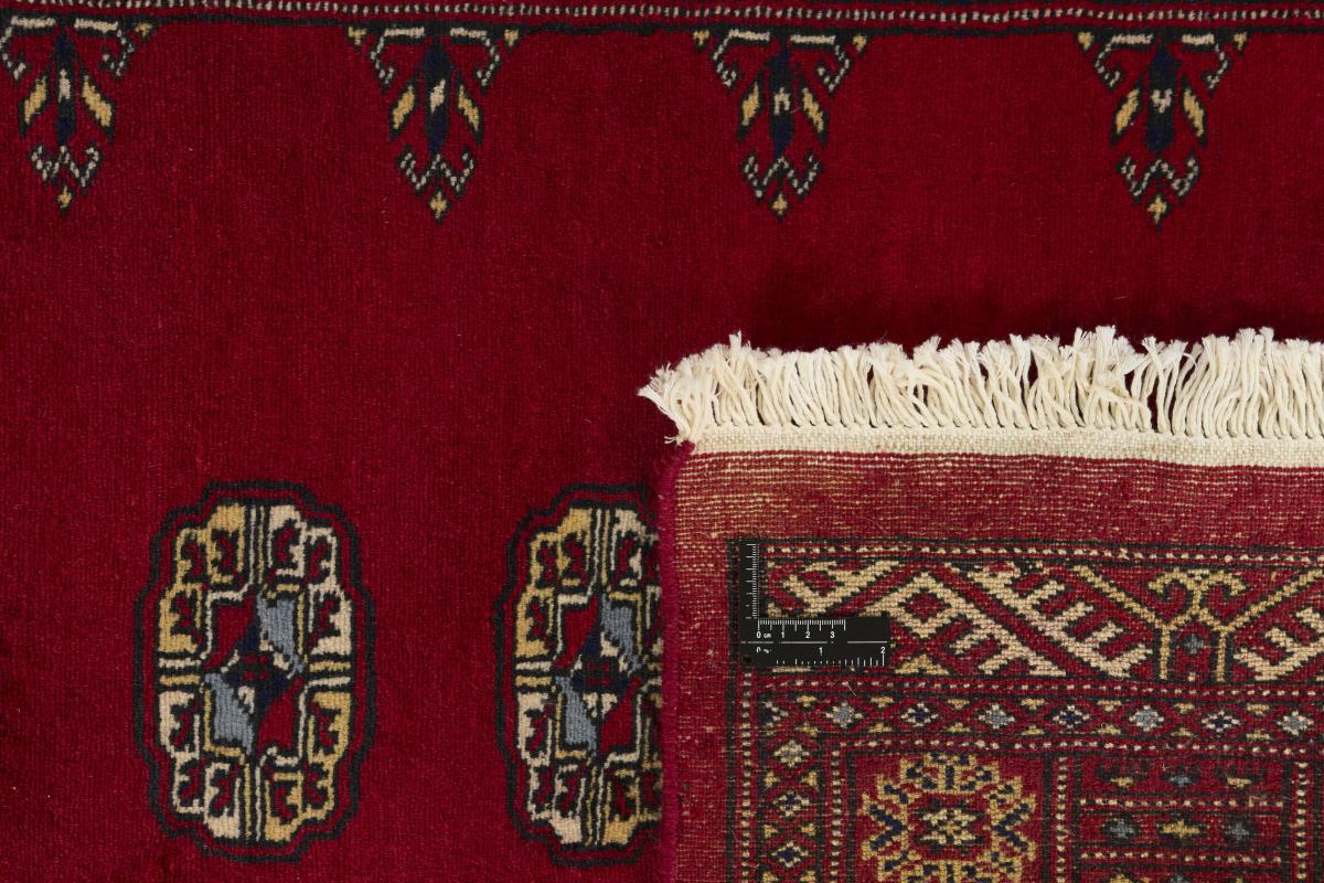 Pakistan Buchara 2ply - 1