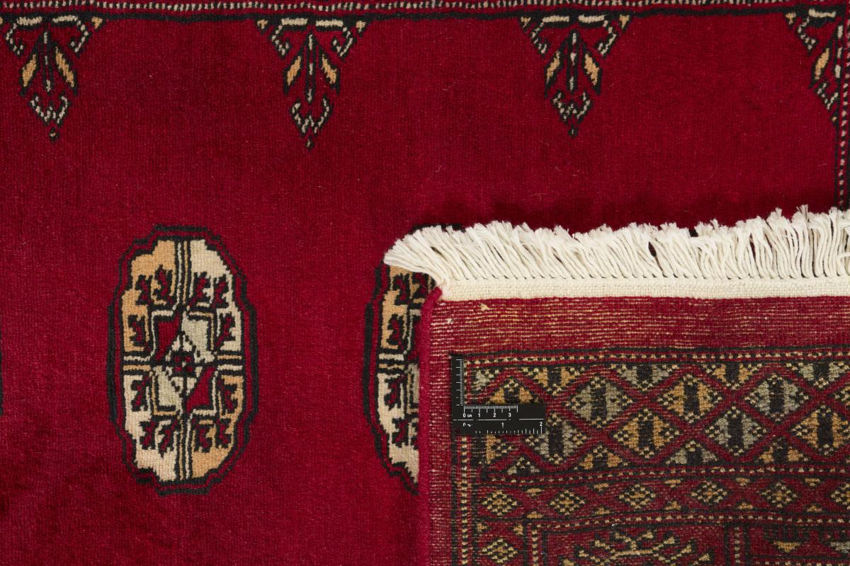 Pakistan Buchara 2ply - 1