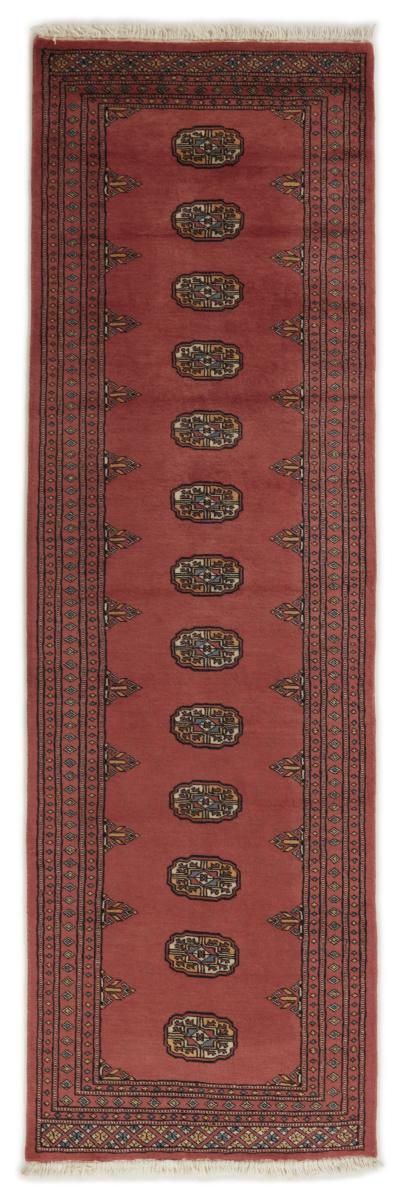 Alfombra pakistaní Pakistan Buchara 2ply 256x78 256x78, Alfombra persa Anudado a mano