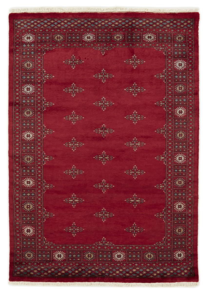 Pakistansk matta Pakistan Buchara 3ply 202x143 202x143, Persisk matta Knuten för hand