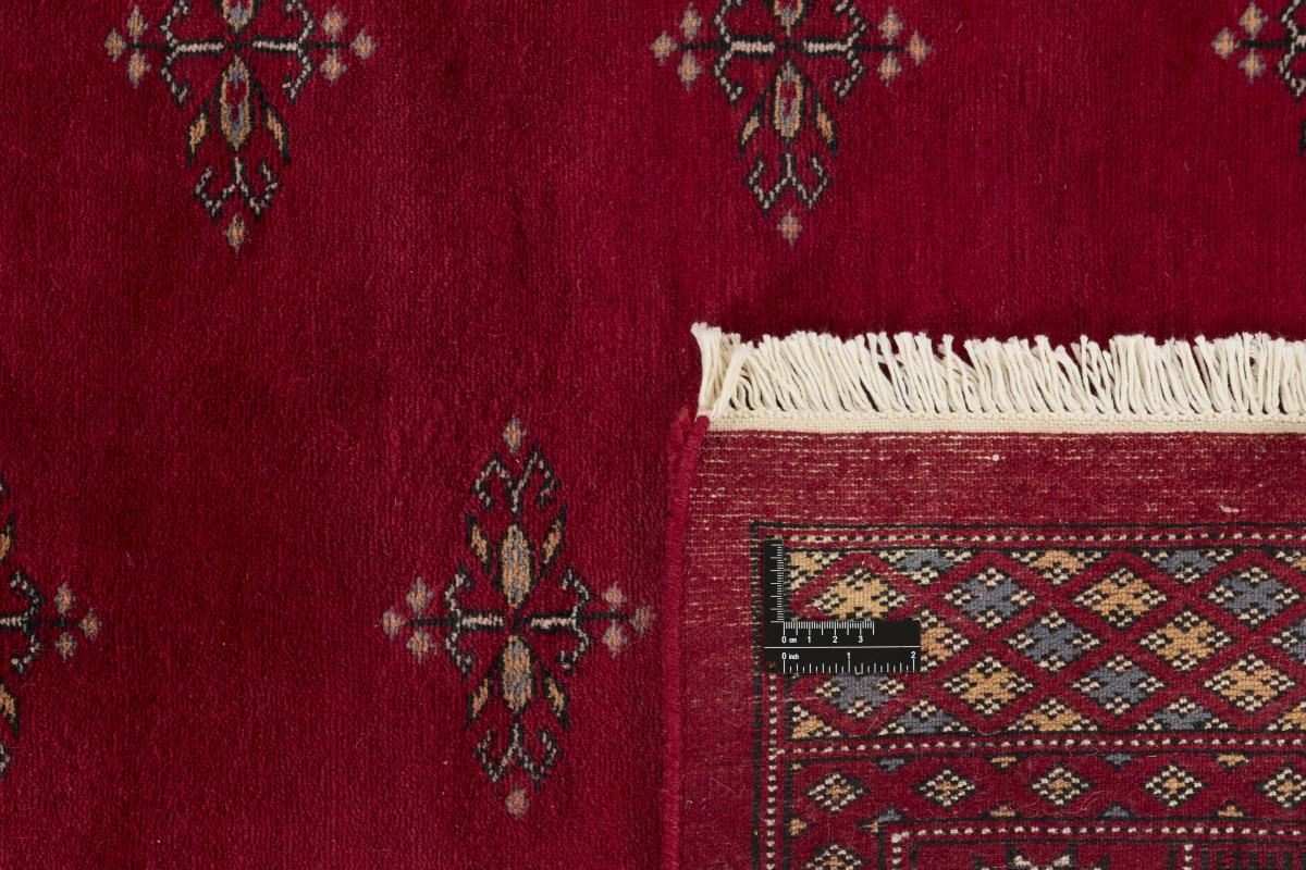 Pakistan Buchara 3ply - 1