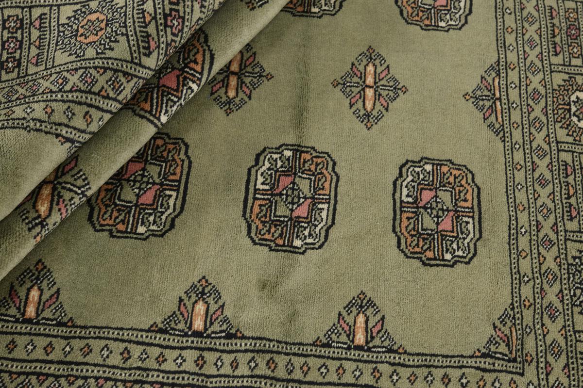 Pakistan Buchara 3ply - 1