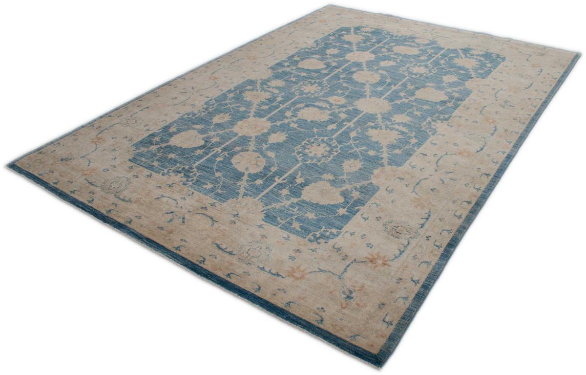 Ziegler Farahan - 1
