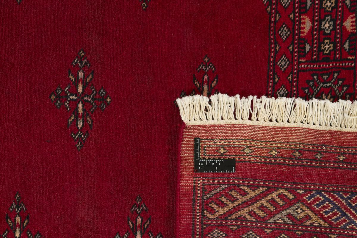 Pakistan Buchara 2ply - 1