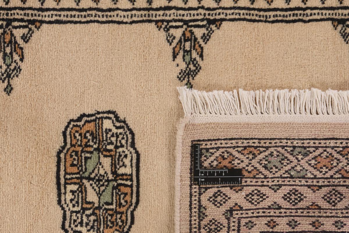 Pakistan Buchara 2ply - 1