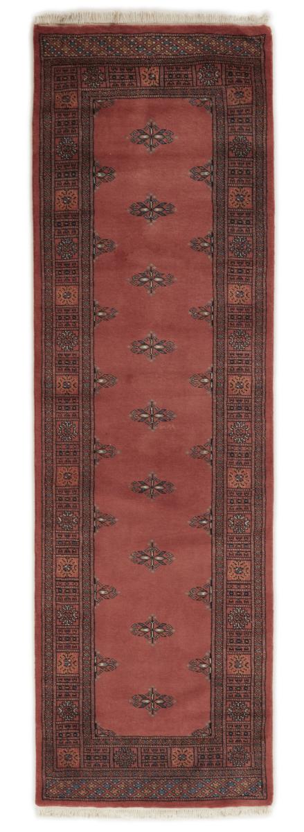 Alfombra pakistaní Pakistan Buchara 2ply 251x76 251x76, Alfombra persa Anudado a mano