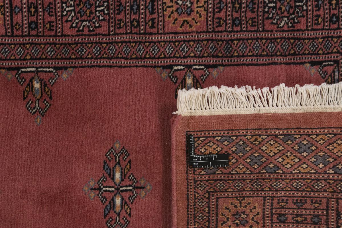 Pakistan Buchara 2ply - 1