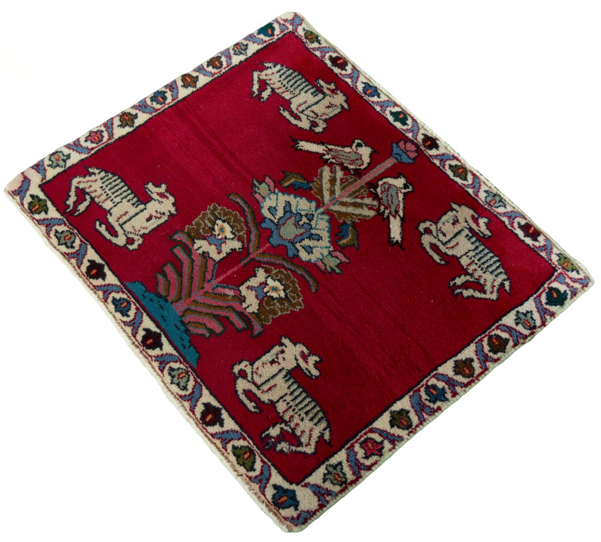 Shiraz - 1