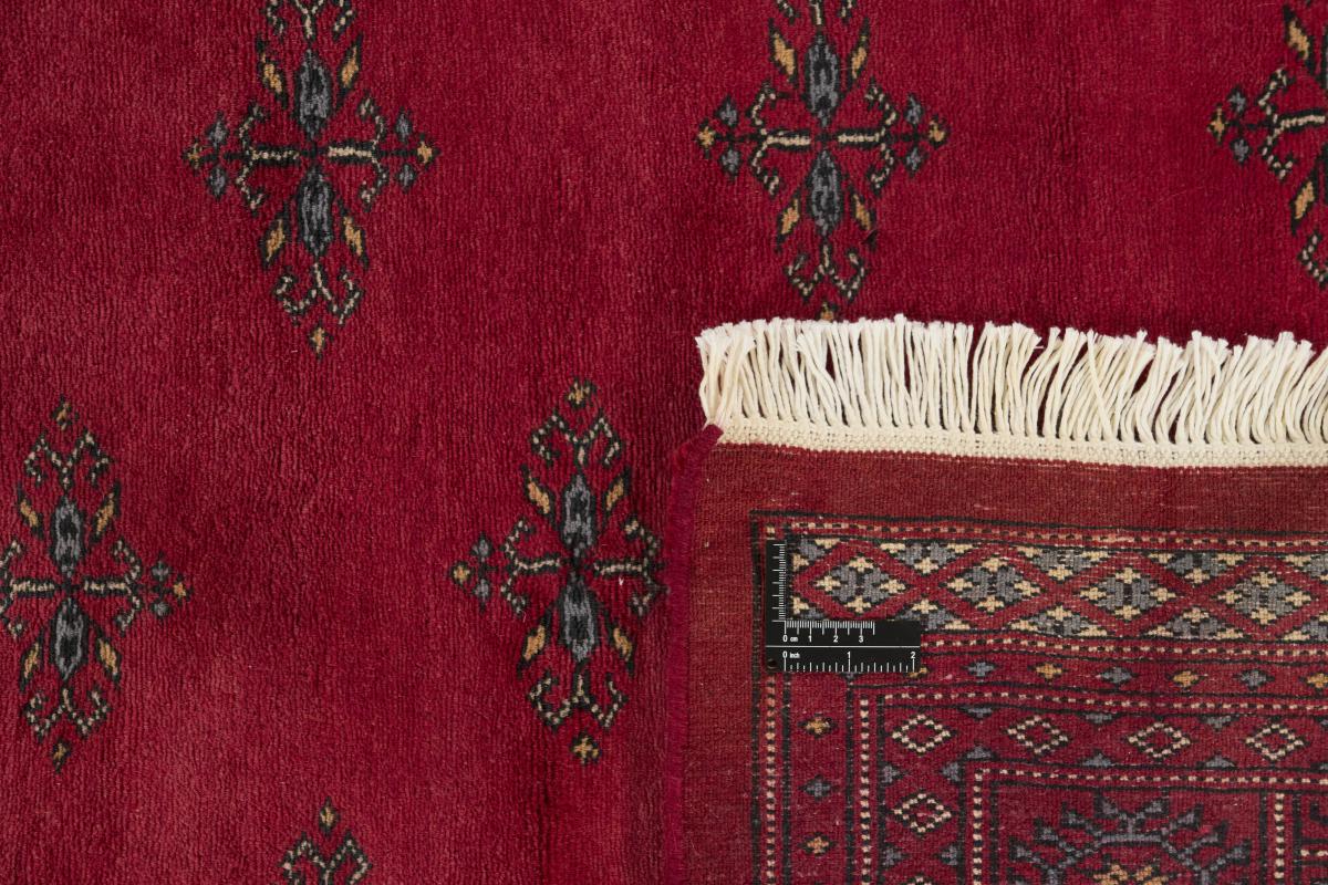 Pakistan Buchara 3ply - 1