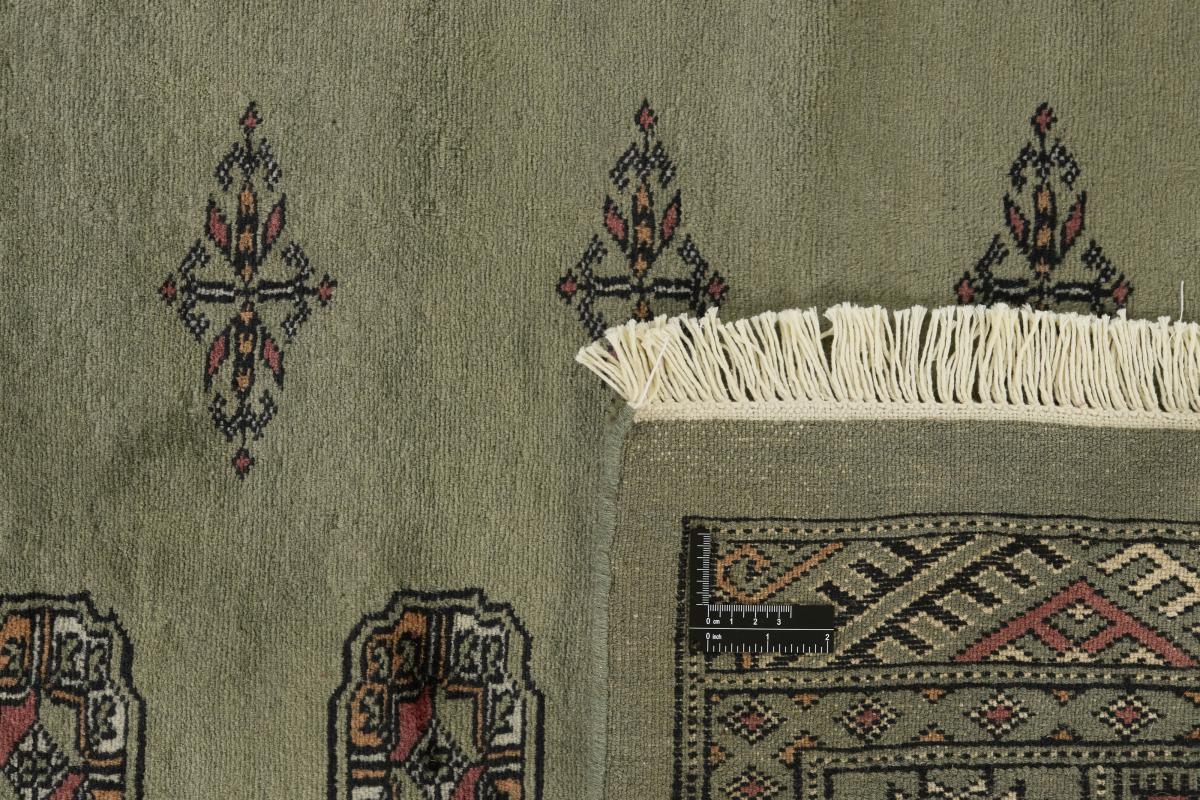 Pakistan Buchara 3ply - 1