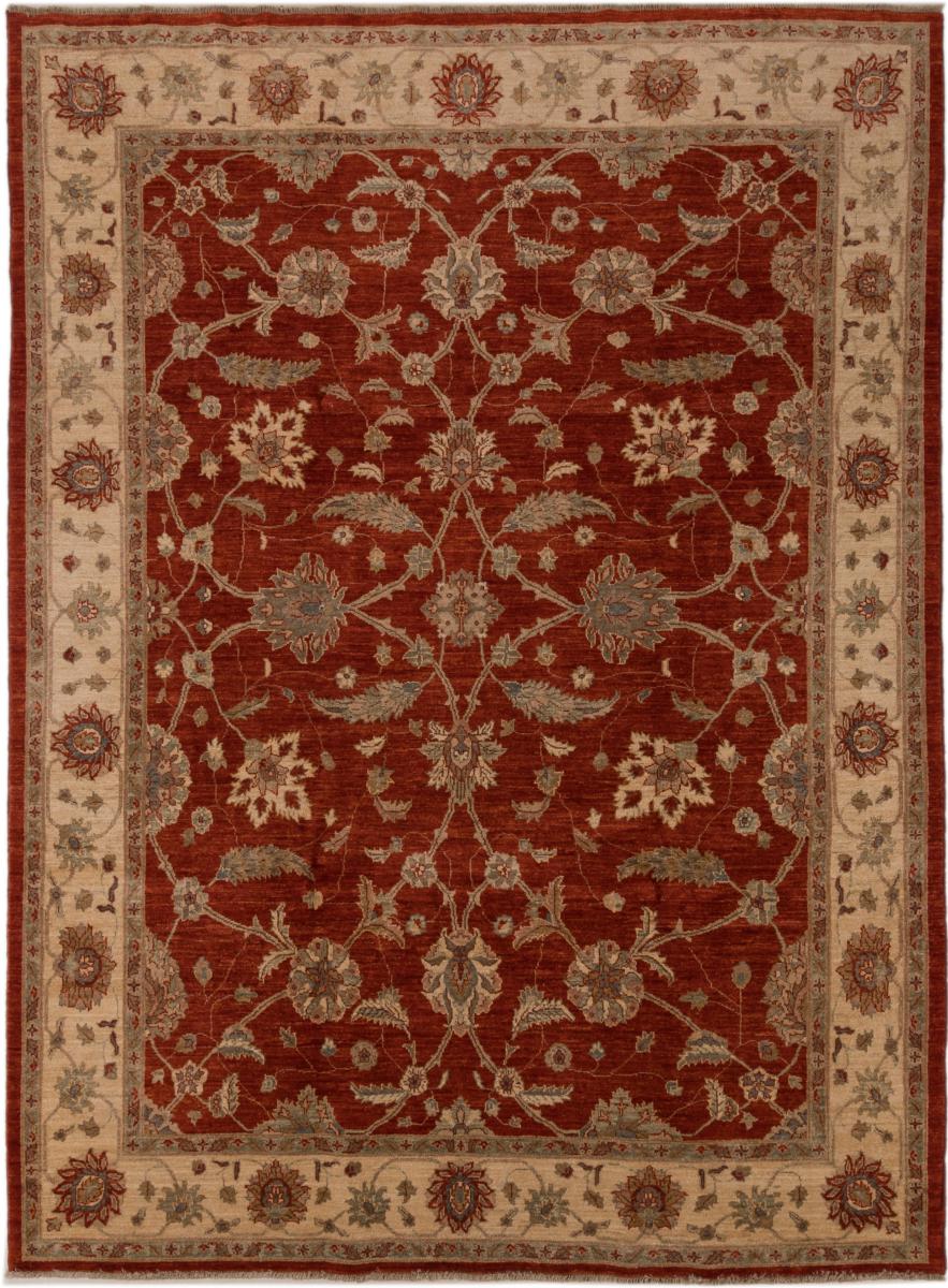 Afghan rug Ziegler Farahan 9'3"x6'10" 9'3"x6'10", Persian Rug Knotted by hand