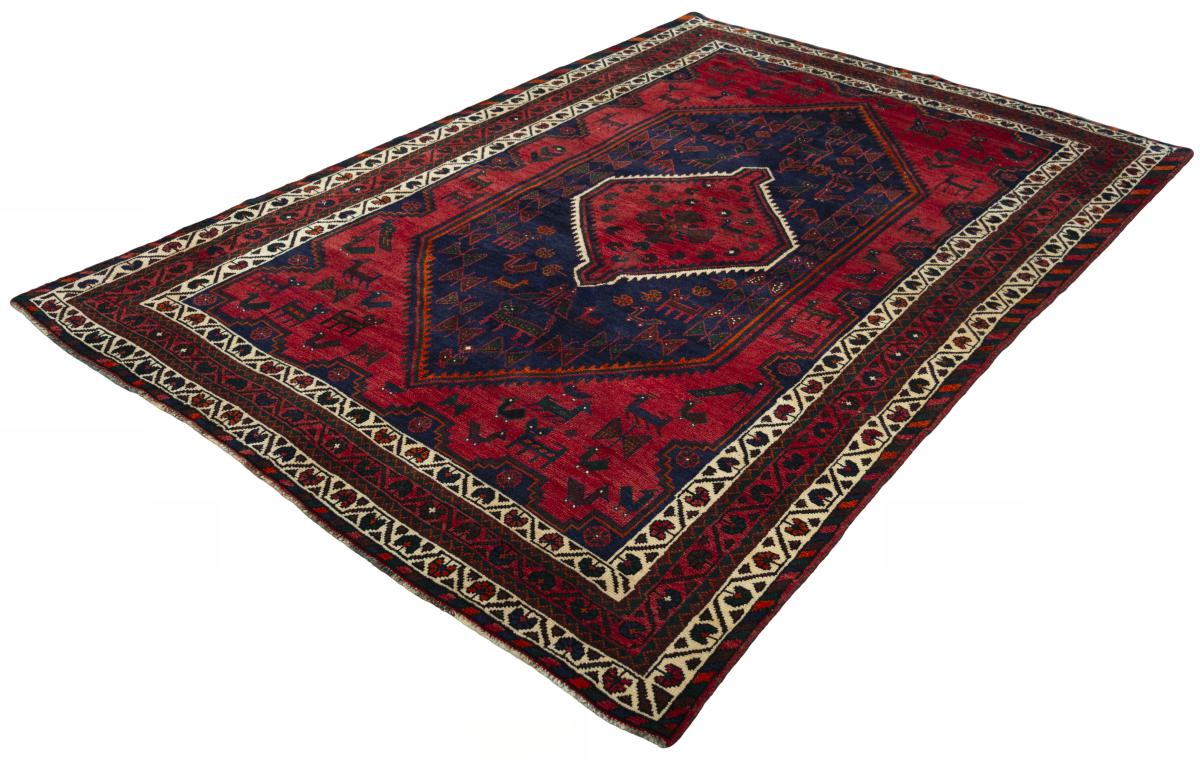Shiraz - 1