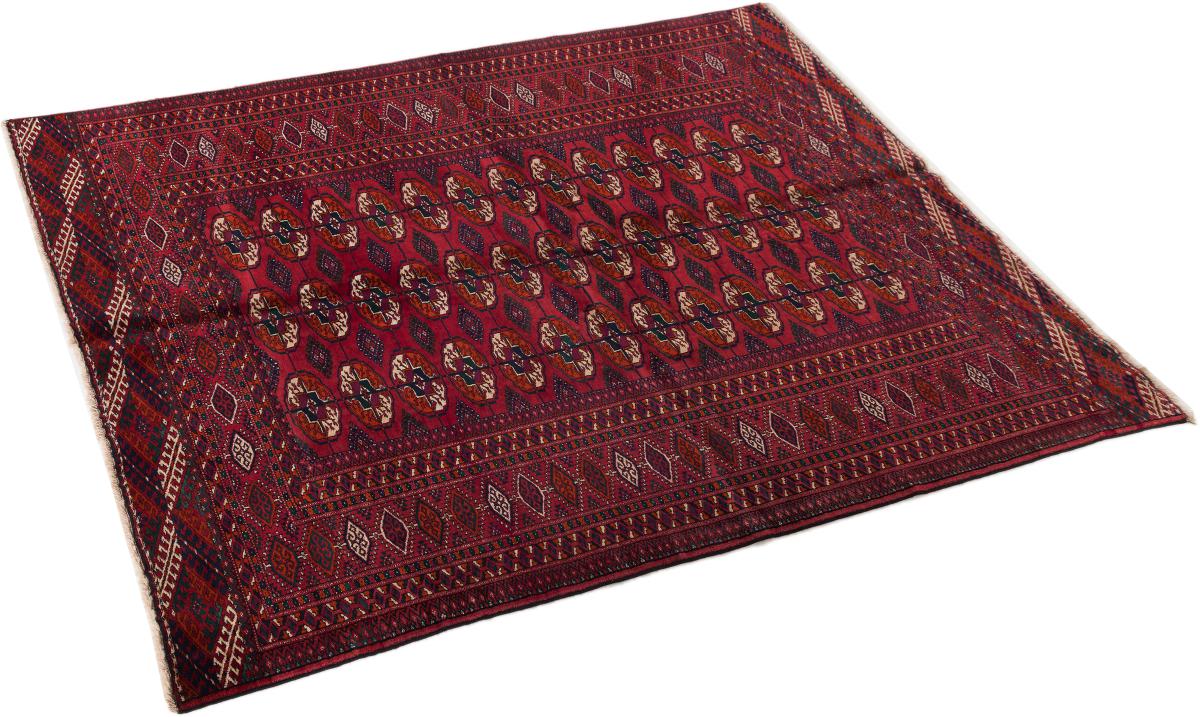 Turkaman Old - 1