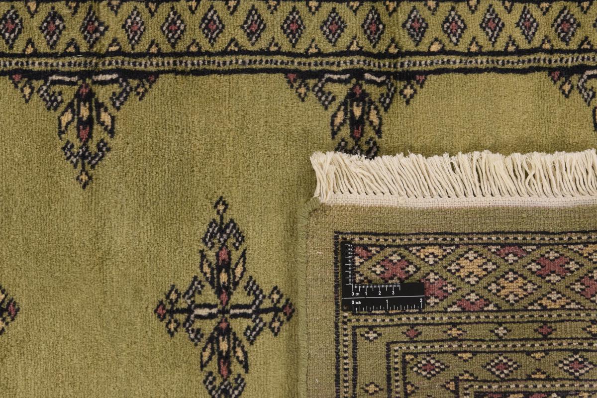 Pakistan Buchara 2ply - 1