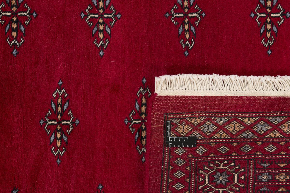 Pakistan Buchara 3ply - 1