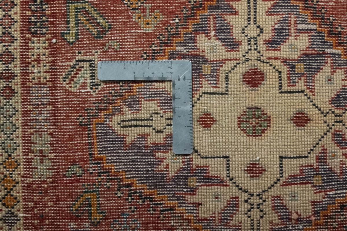 Shiraz - 1
