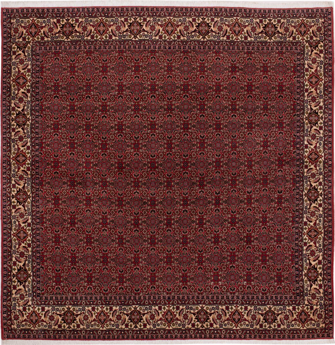 Persian Rug Bidjar 253x255 253x255, Persian Rug Knotted by hand