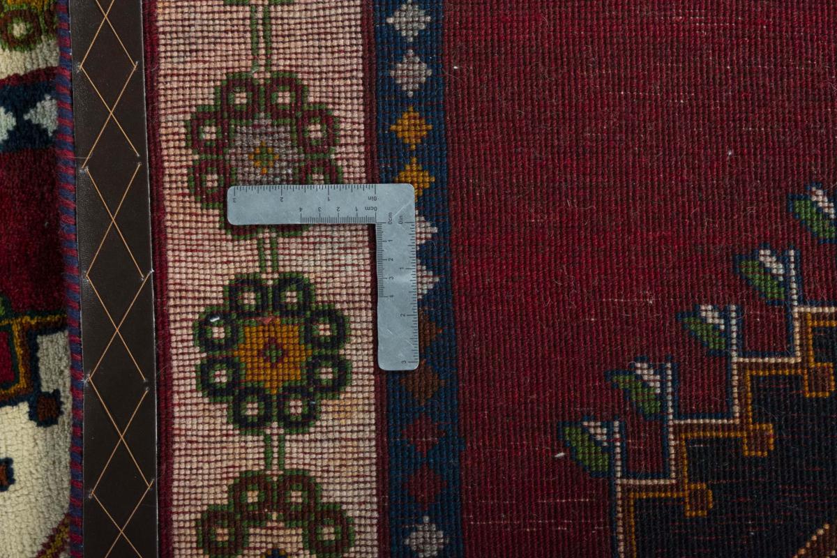 Shiraz - 1