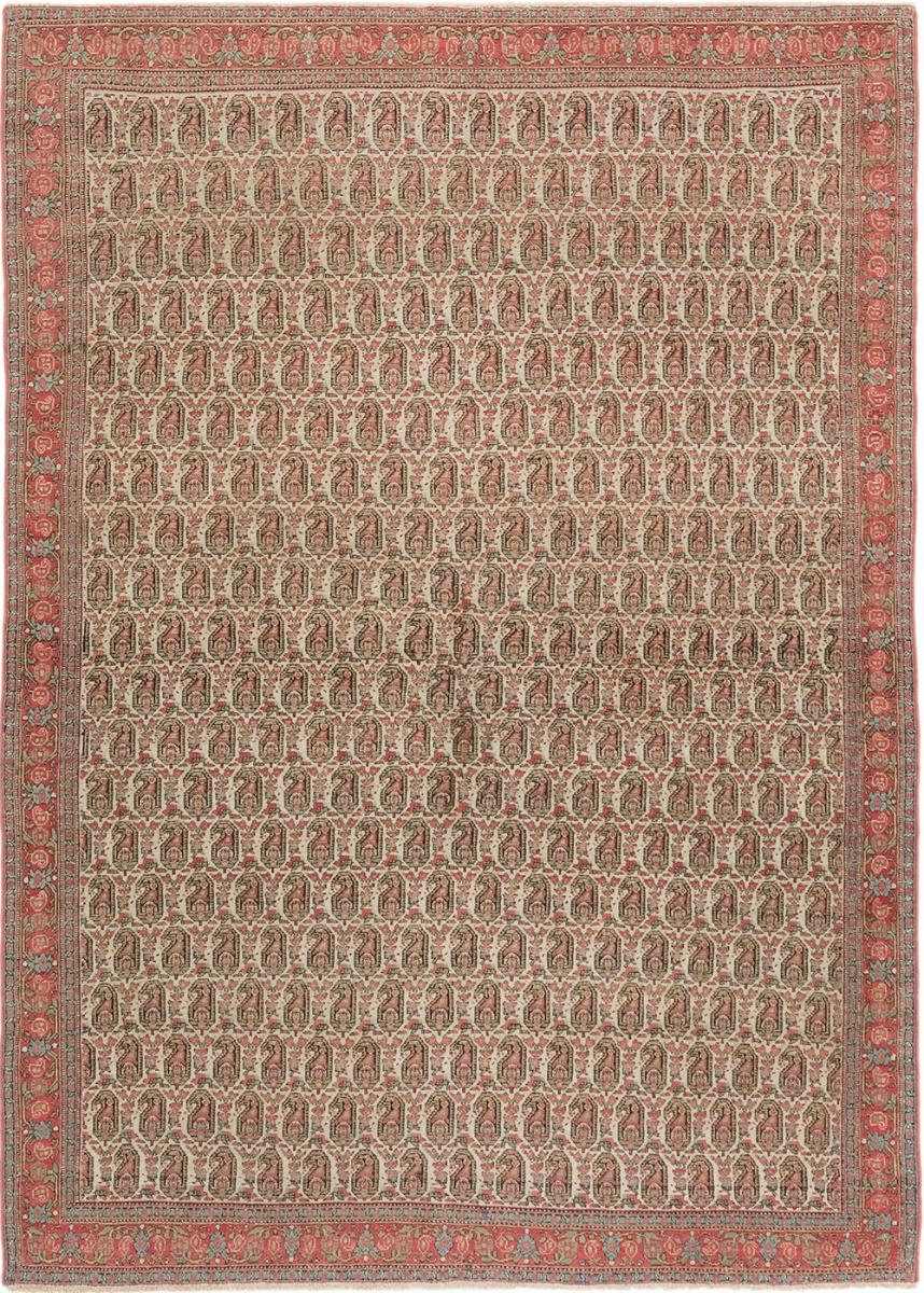 Persian Rug Senneh Antique 6'5"x4'8" 6'5"x4'8", Persian Rug Knotted by hand