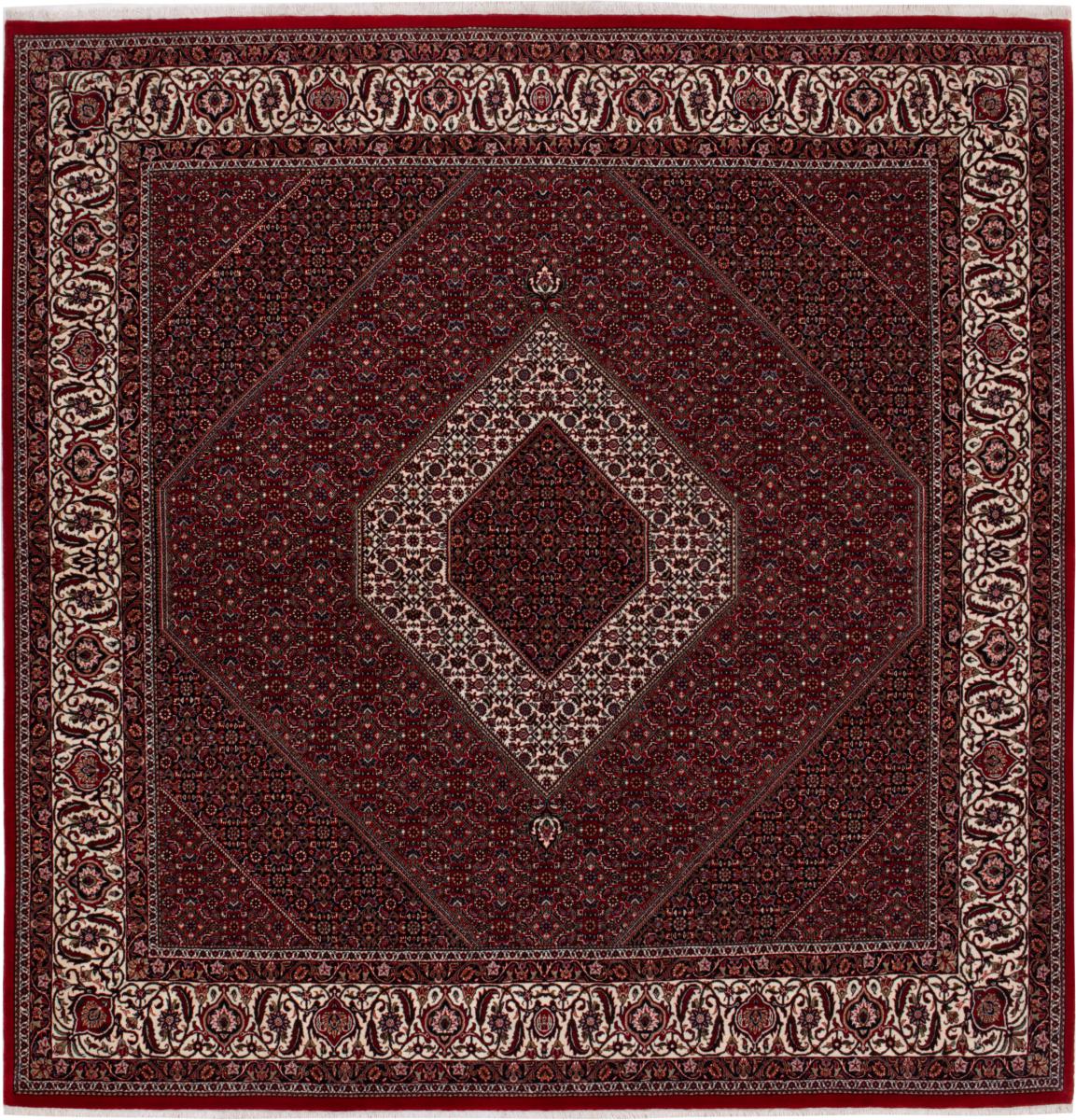Persian Rug Bidjar 257x249 257x249, Persian Rug Knotted by hand