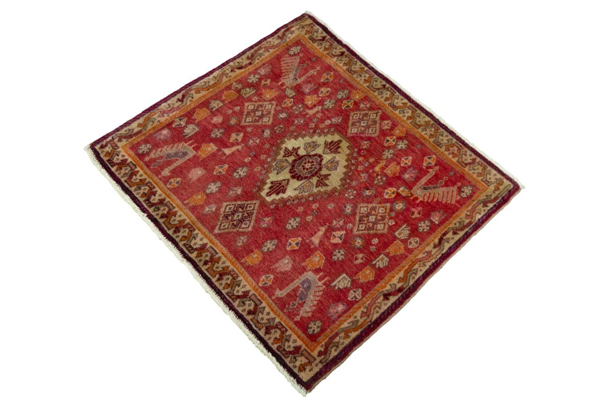Shiraz - 1