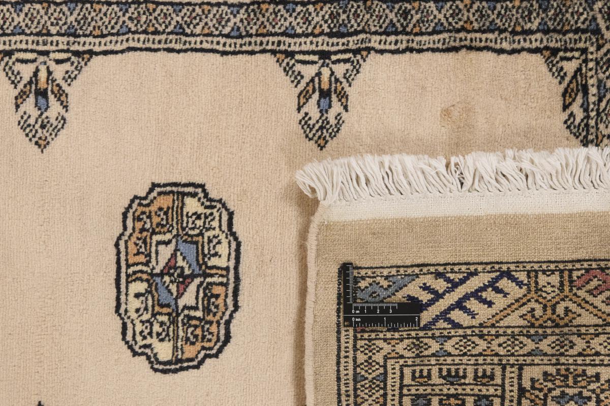 Pakistan Buchara 2ply - 1