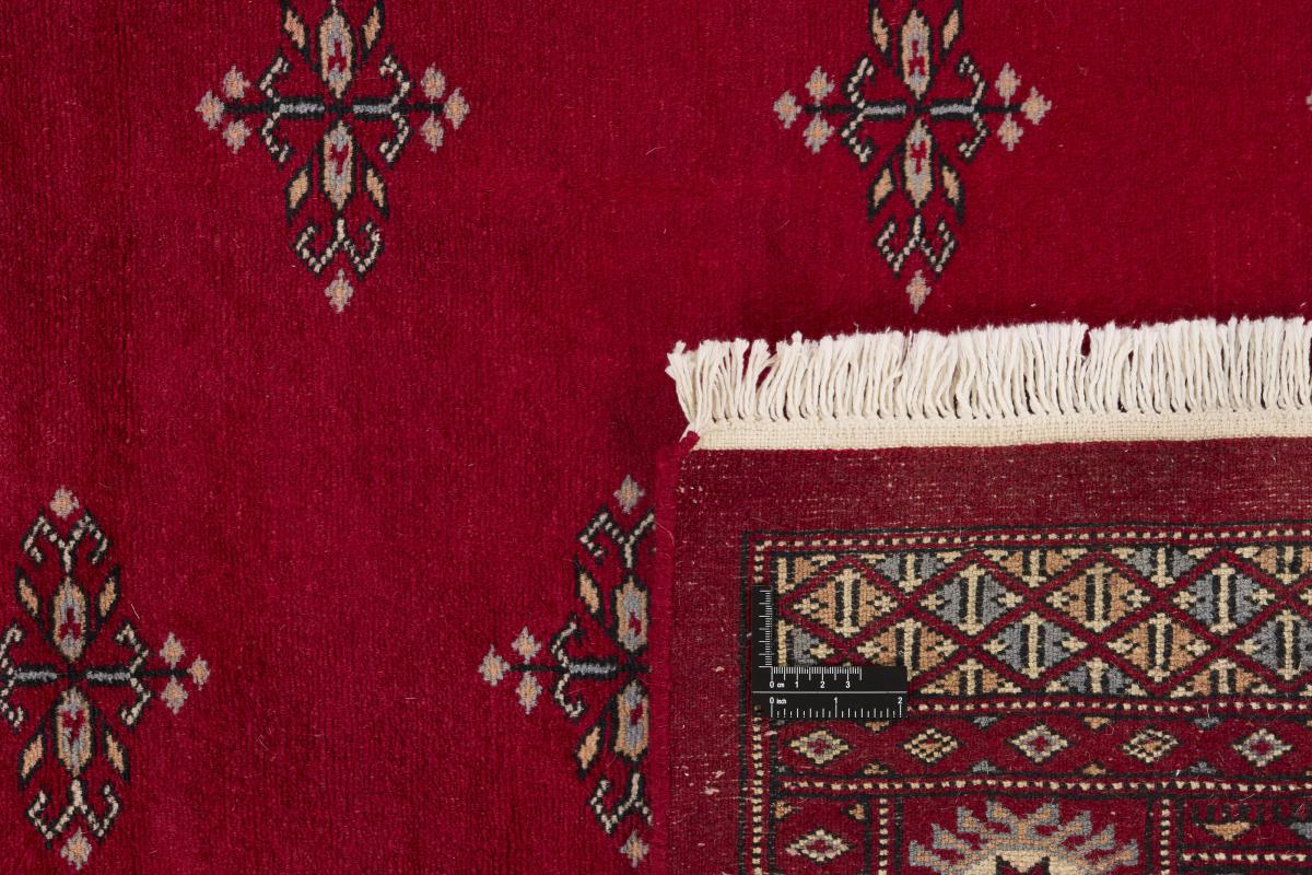 Pakistan Buchara 3ply - 1