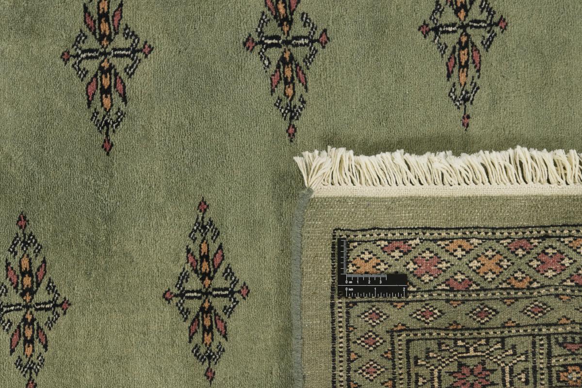 Pakistan Buchara 3ply - 1