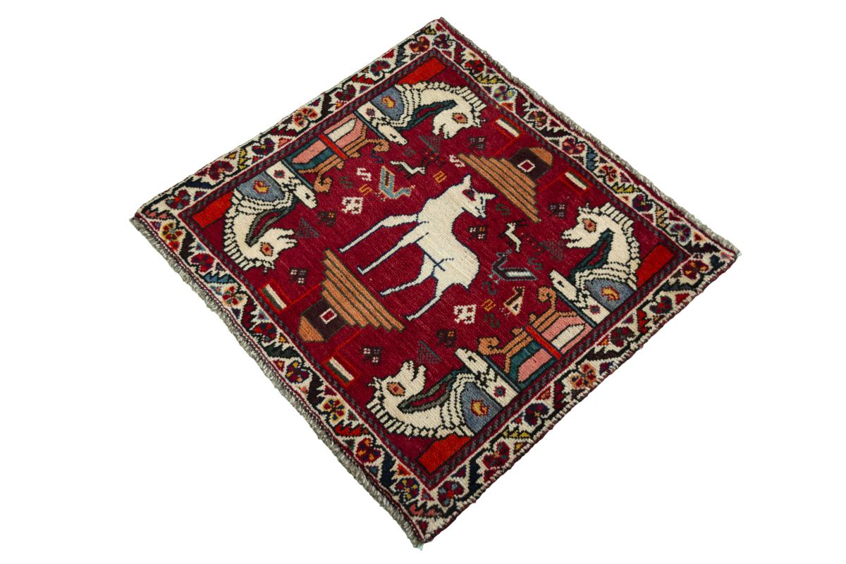 Shiraz - 1