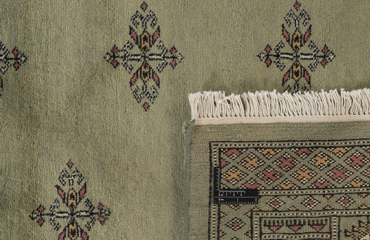 Pakistan Buchara 3ply - 1