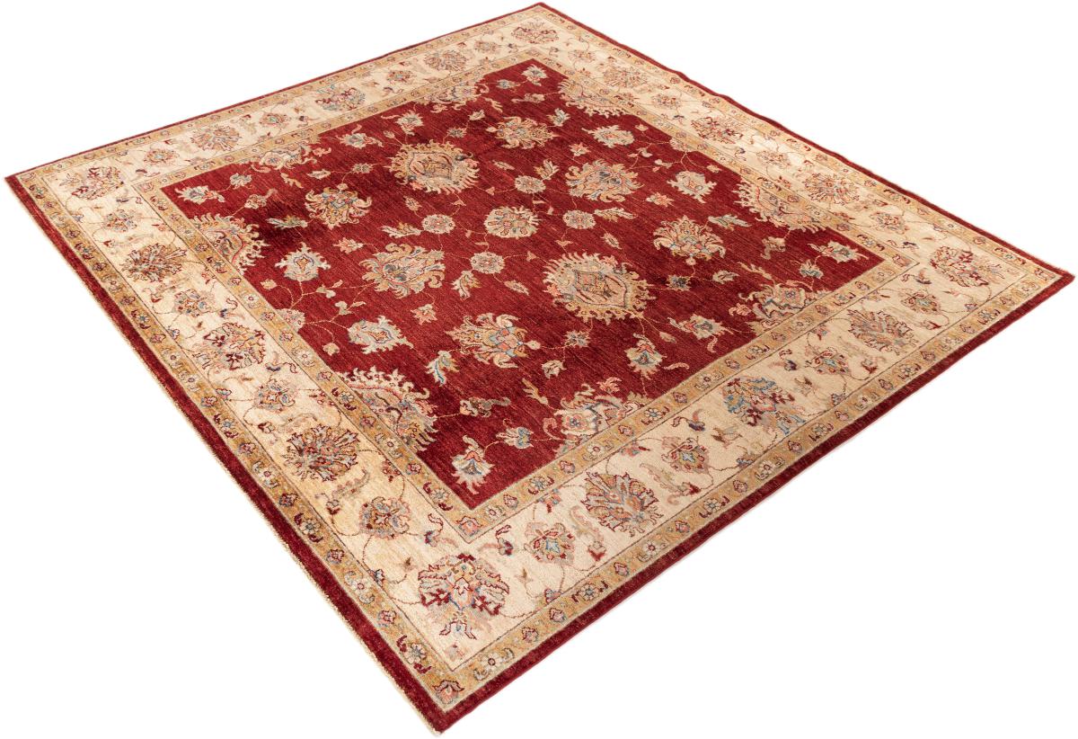 Ziegler ファラハン - 1