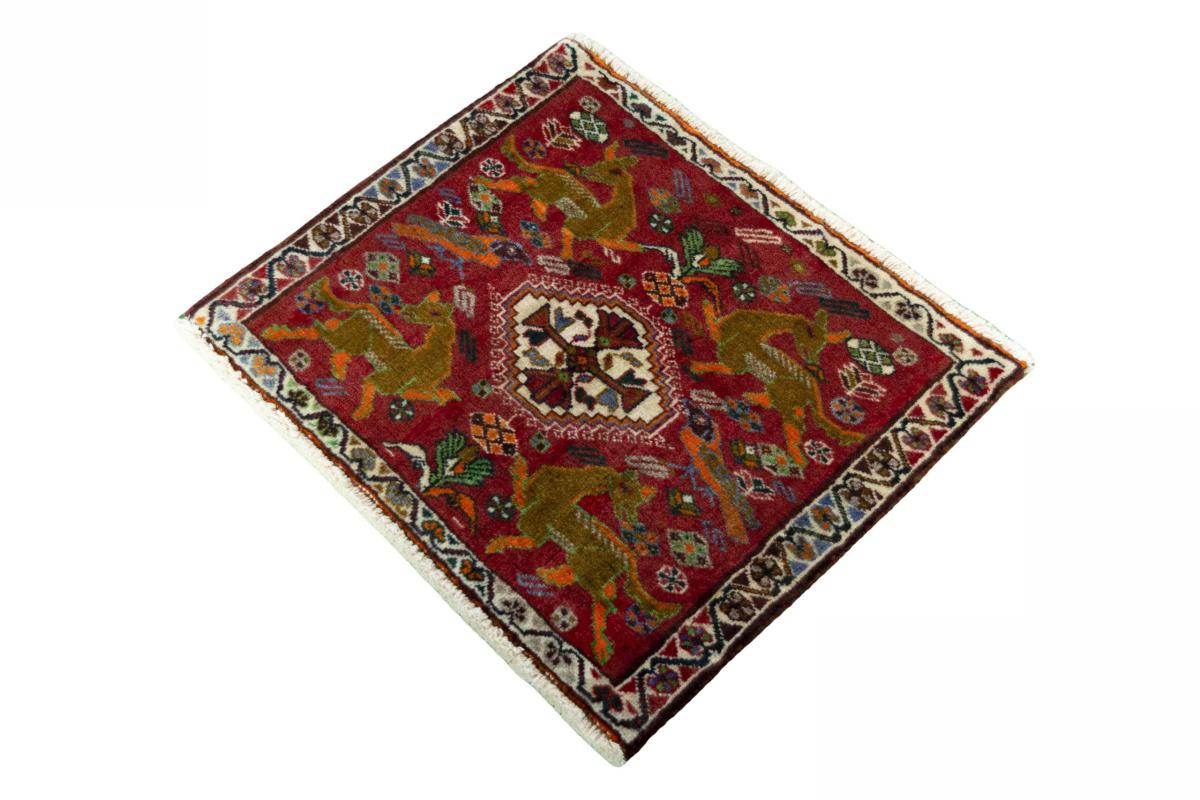 Shiraz - 1