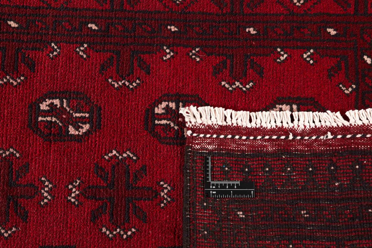 Afegão Akhche - 1