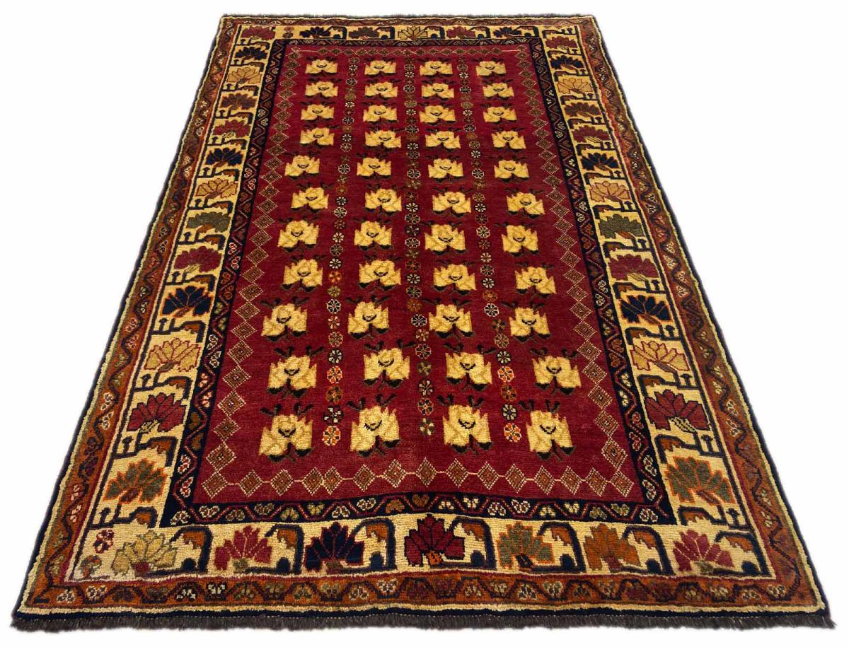 Shiraz - 1