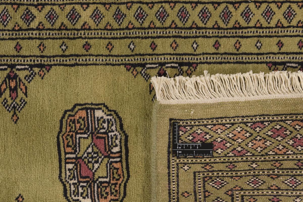 Pakistan Buchara 2ply - 1