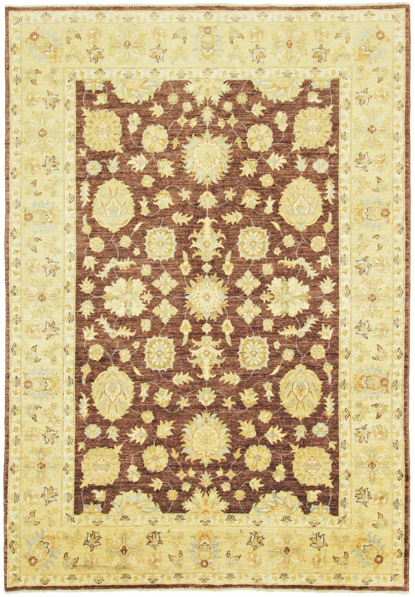 Pakistani rug Ziegler Farahan 8'10"x6'1" 8'10"x6'1", Persian Rug Knotted by hand