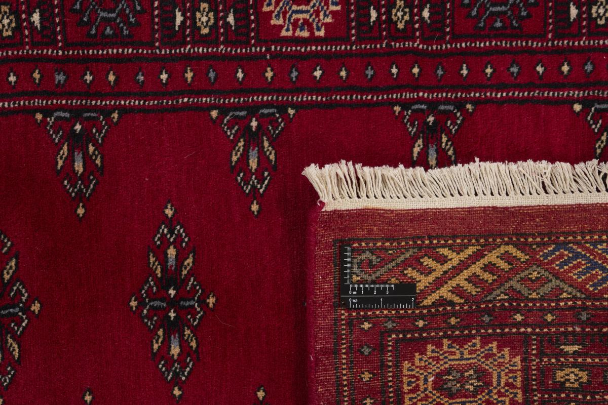 Pakistan Buchara 2ply - 1