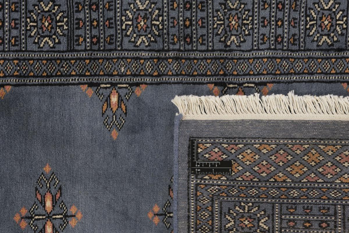 Pakistan Buchara 2ply - 1