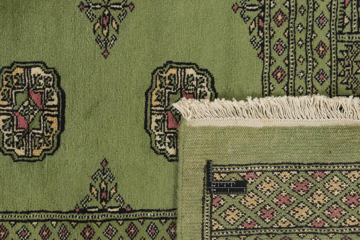 Pakistan Buchara 2ply - 1