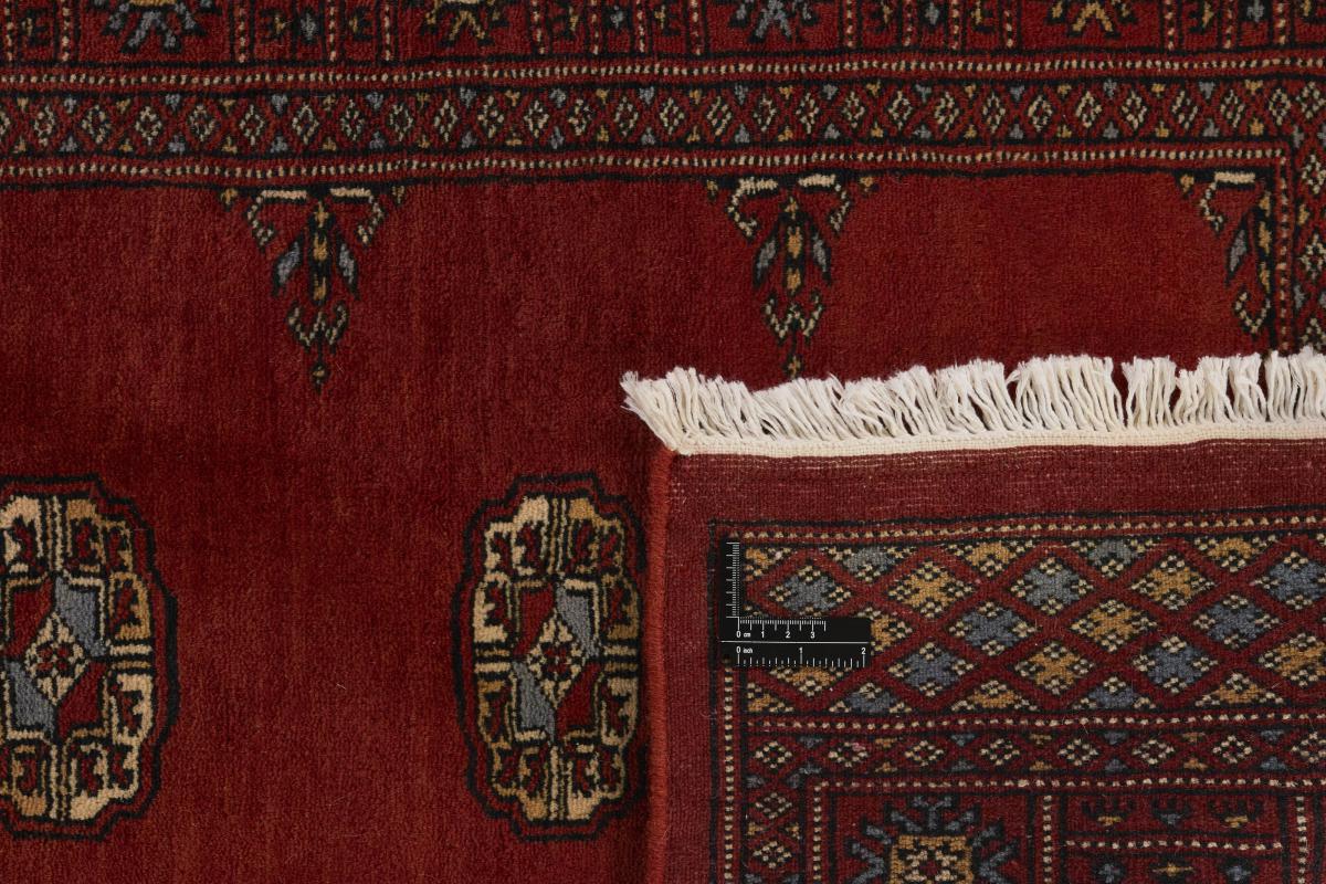 Pakistan Buchara 3ply - 1