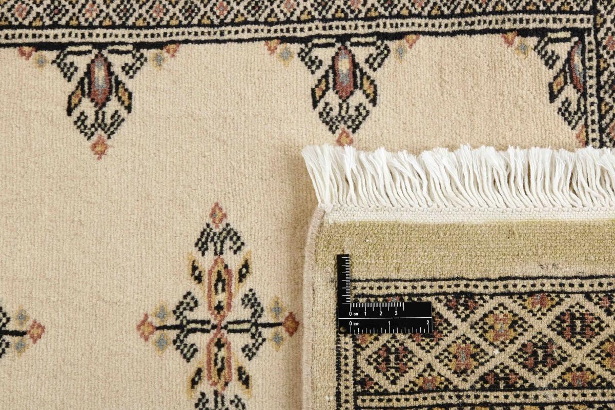 Pakistan Buchara 2ply - 1