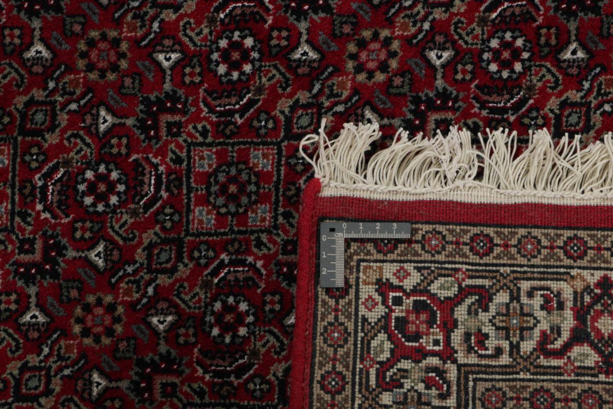 Indo Bidjar Royal - 1