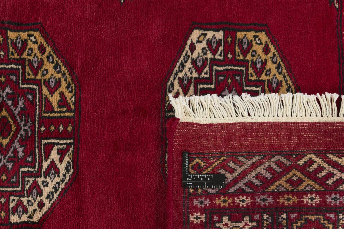 Pakistan Buchara 3ply - 1