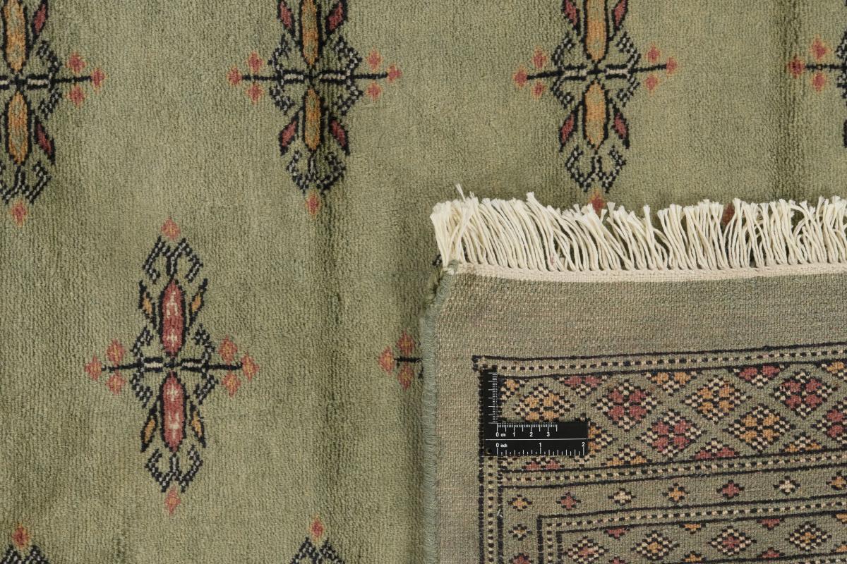 Pakistan Buchara 3ply - 1