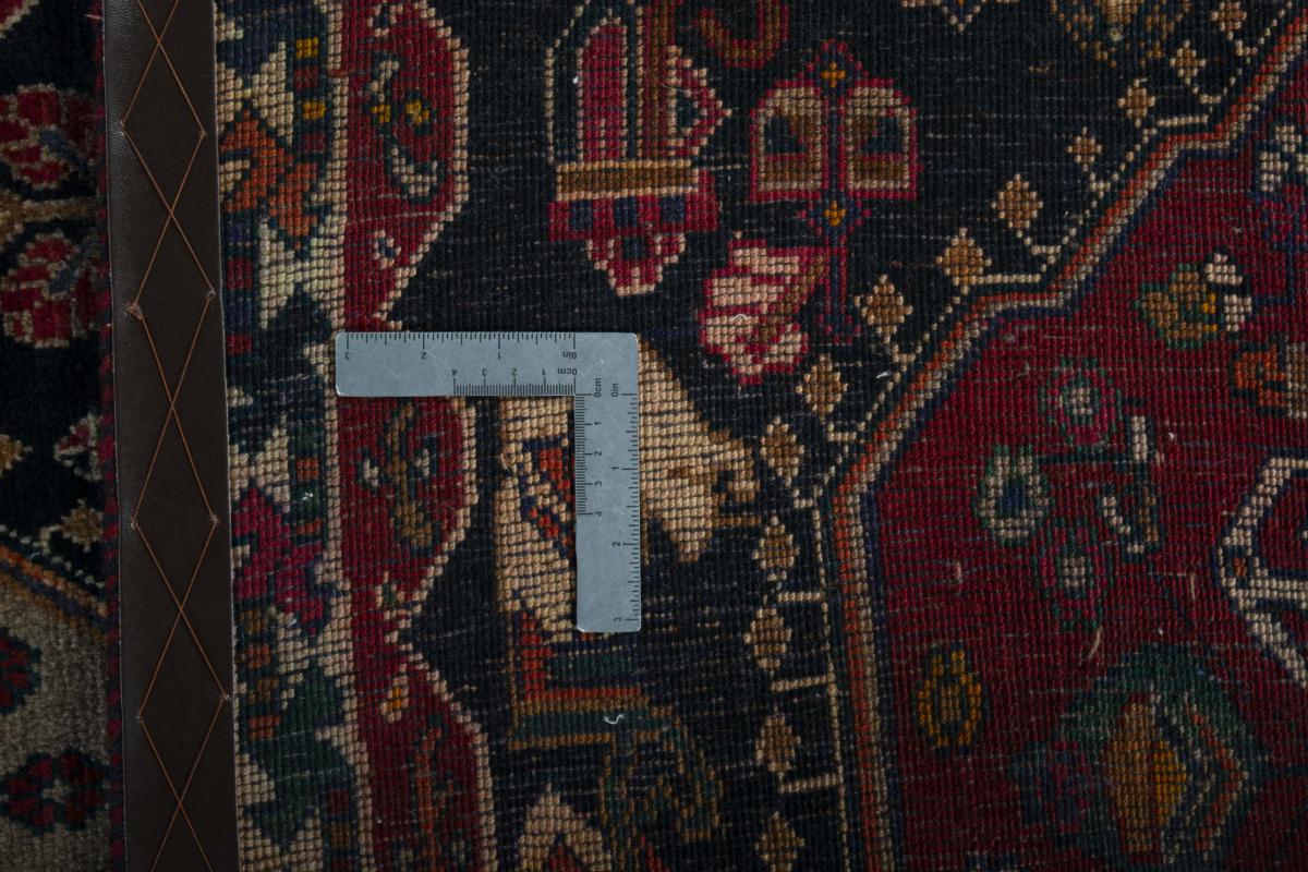 Shiraz - 1
