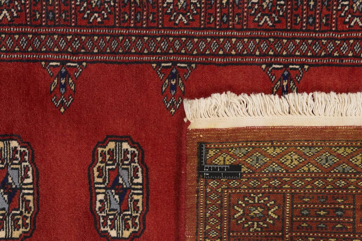 Pakistan Buchara 2ply - 1