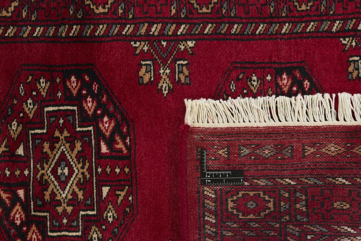 Pakistan Buchara 3ply - 1