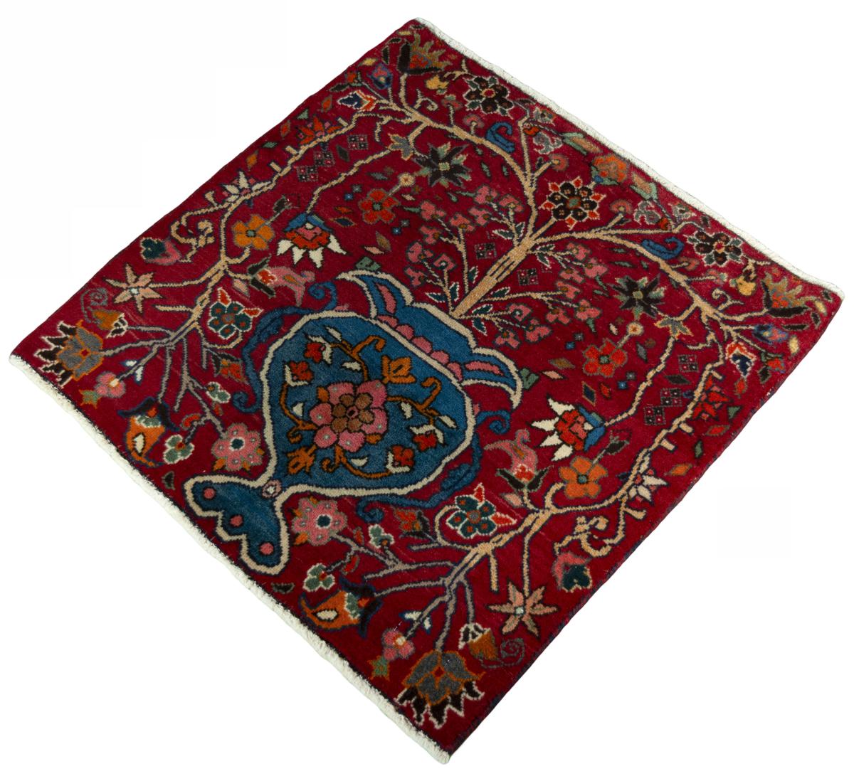 Shiraz - 1