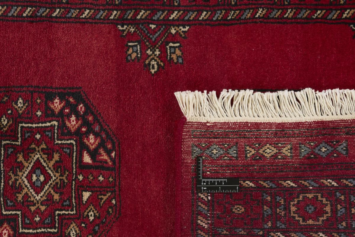 Pakistan Buchara 3ply - 1