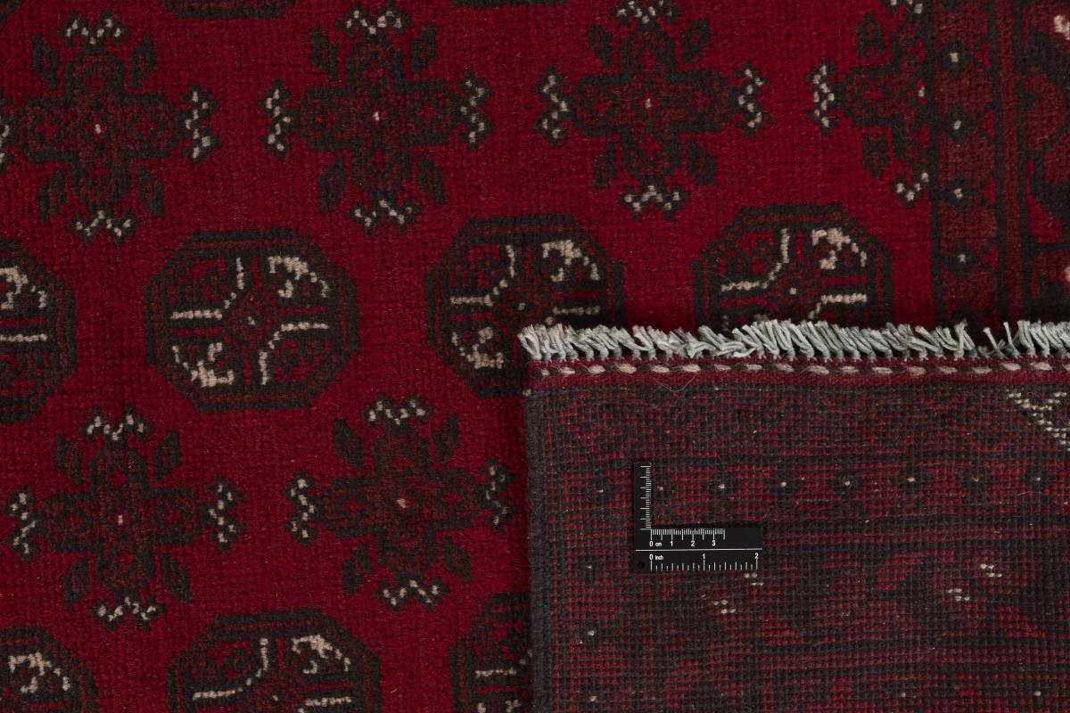 Afgán Akhche - 1